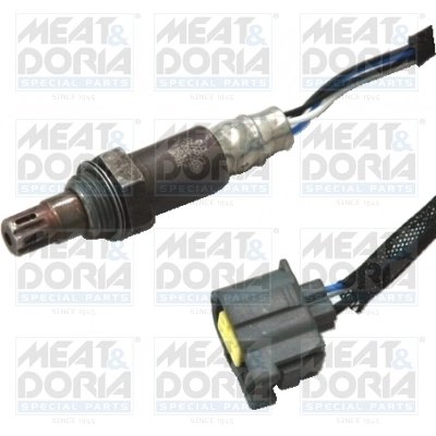 Oxygen Sensor